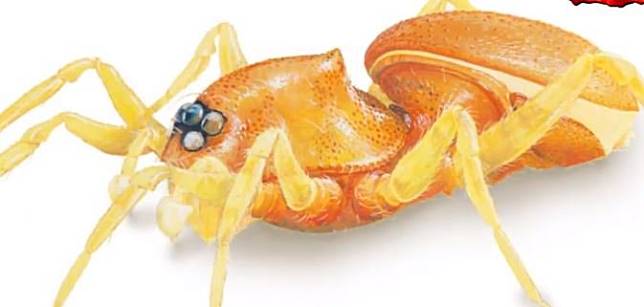 Detail Hewan Yang Berkembang Biak Nomer 42