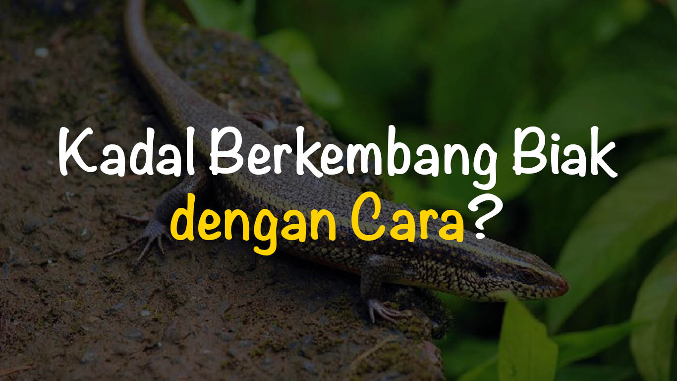Detail Hewan Yang Berkembang Biak Nomer 50