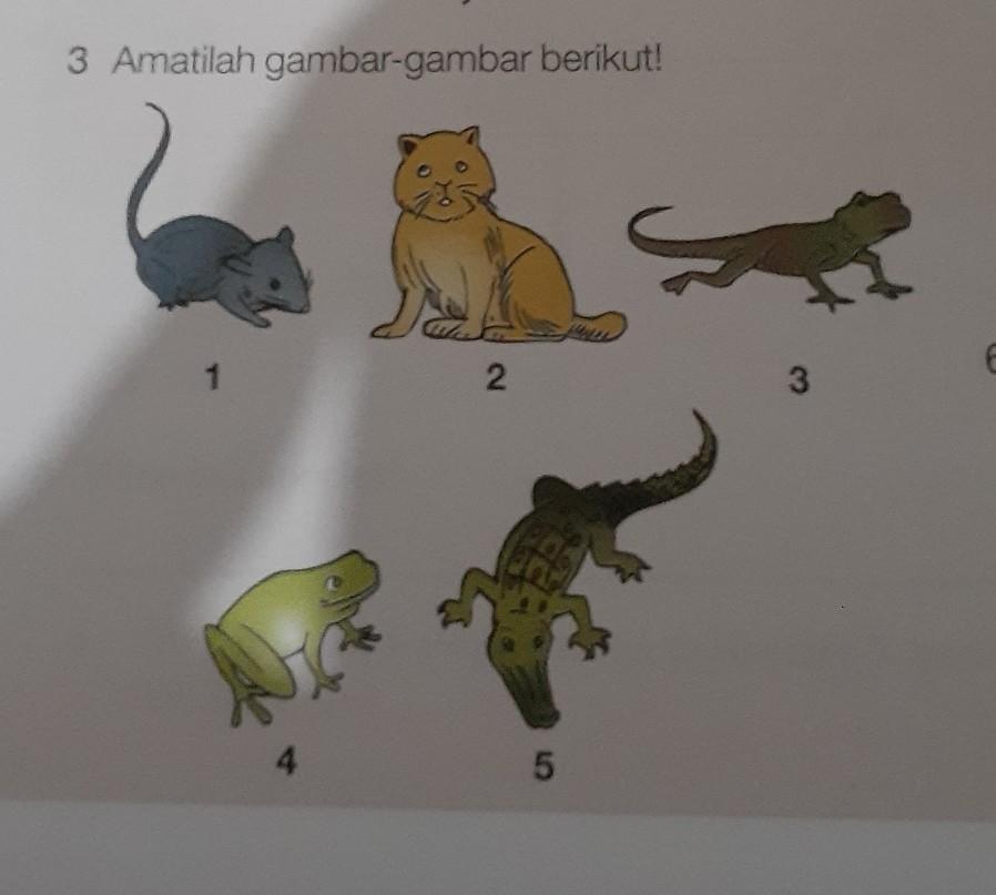 Detail Hewan Yang Berkembang Biak Dengan Nomer 4