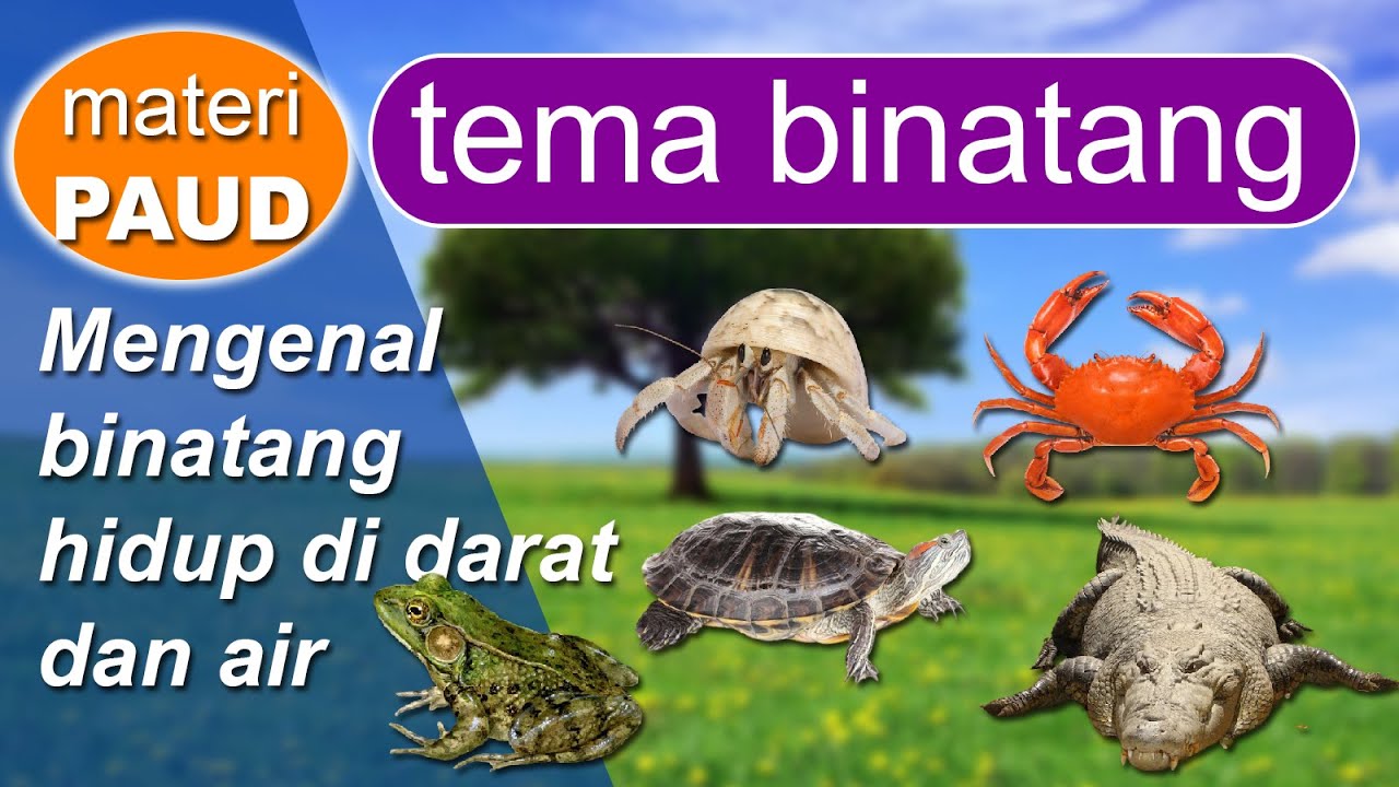 Detail Hewan Yang Hidup Di Darat Nomer 17