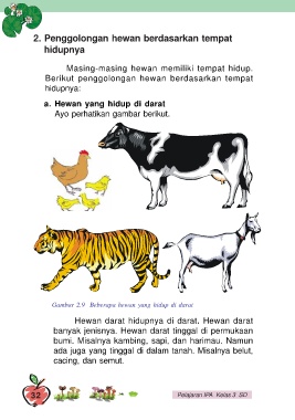 Detail Hewan Yang Hidup Di Darat Nomer 18
