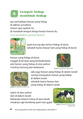Detail Hewan Yang Hidup Di Darat Nomer 43