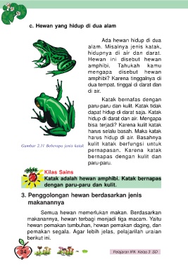 Detail Hewan Yang Hidup Di Darat Nomer 46