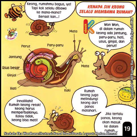 Hewan Yang Selalu Membawa Rumah - KibrisPDR