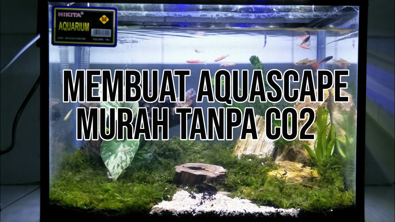 Detail Hiasan Aquarium Murah Nomer 43