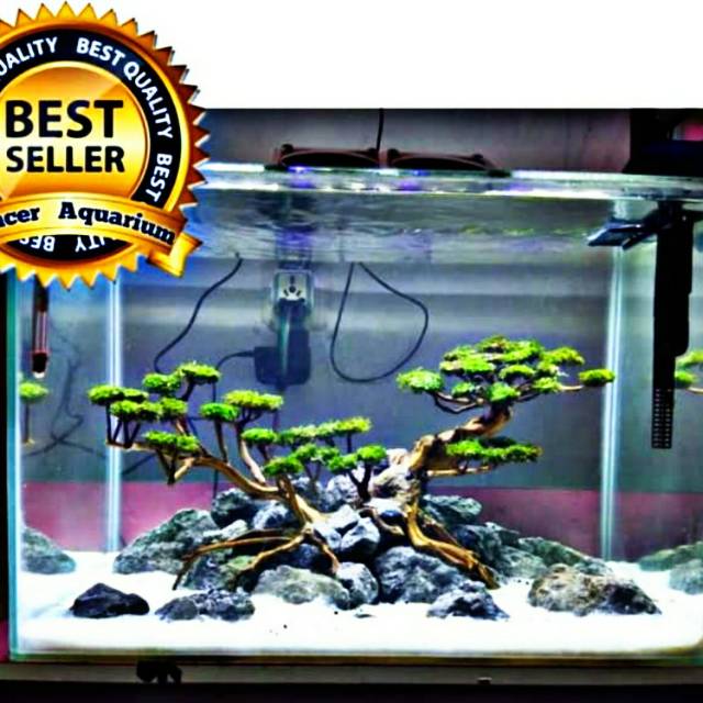 Detail Hiasan Aquarium Simple Nomer 20