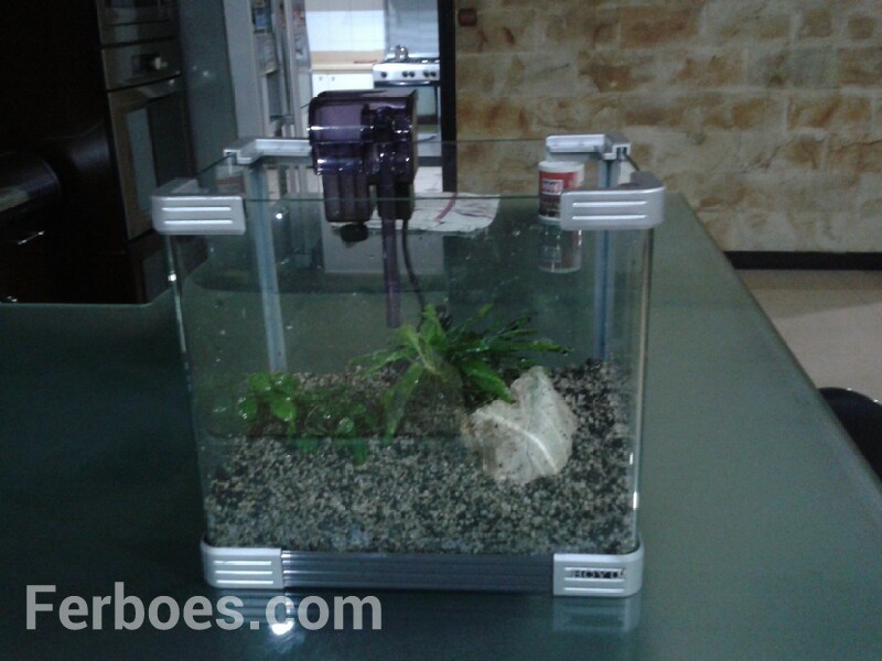 Detail Hiasan Aquarium Simple Nomer 40