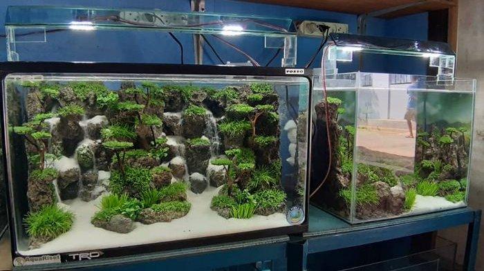 Detail Hiasan Aquarium Unik Nomer 35