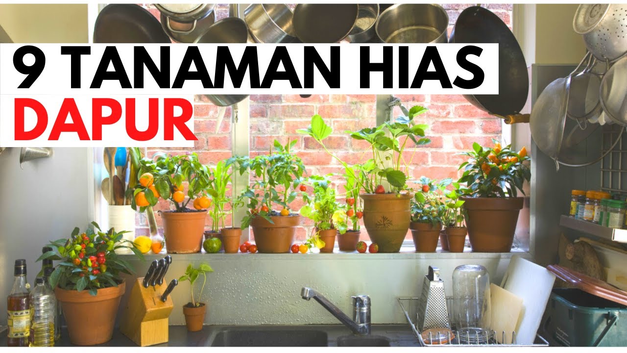 Detail Hiasan Bunga Di Dapur Nomer 29