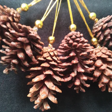 Detail Hiasan Bunga Pinus Nomer 16