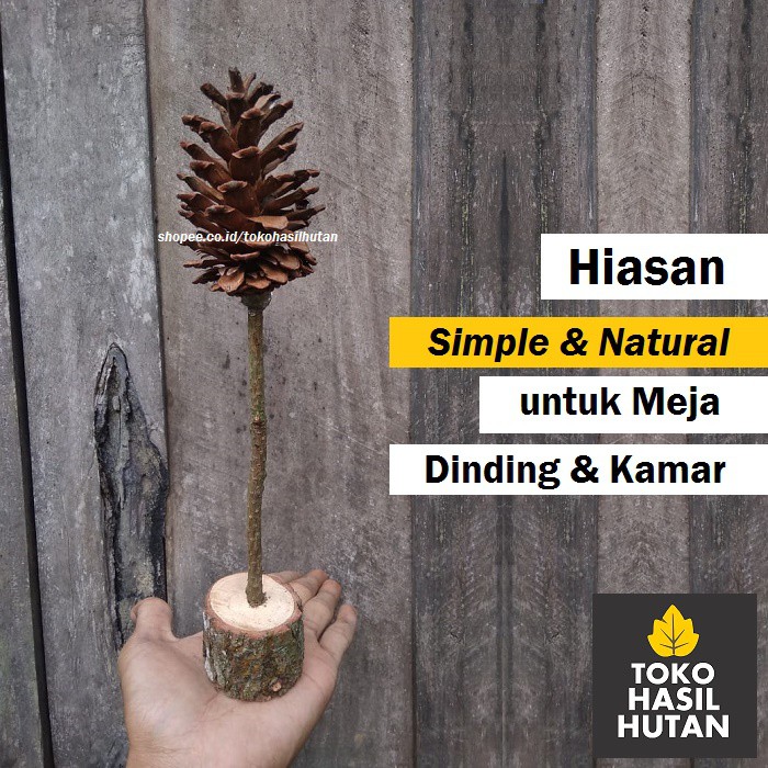 Detail Hiasan Bunga Pinus Nomer 51