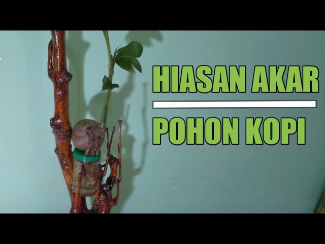 Detail Hiasan Dari Akar Pohon Nomer 48