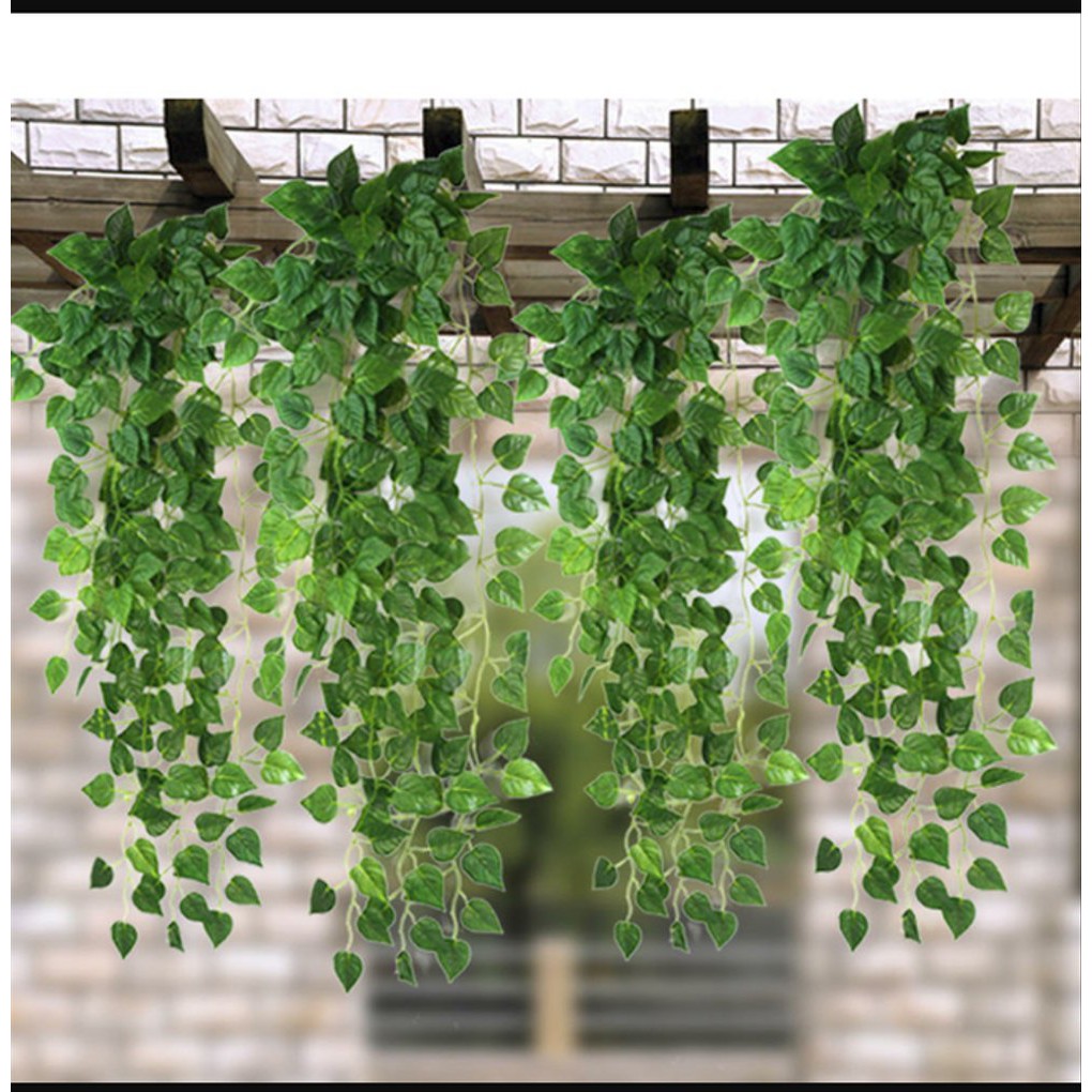 Detail Hiasan Daun Sirih Nomer 2