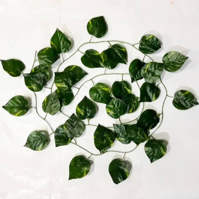 Detail Hiasan Daun Sirih Nomer 19