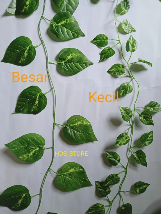 Detail Hiasan Daun Sirih Nomer 23