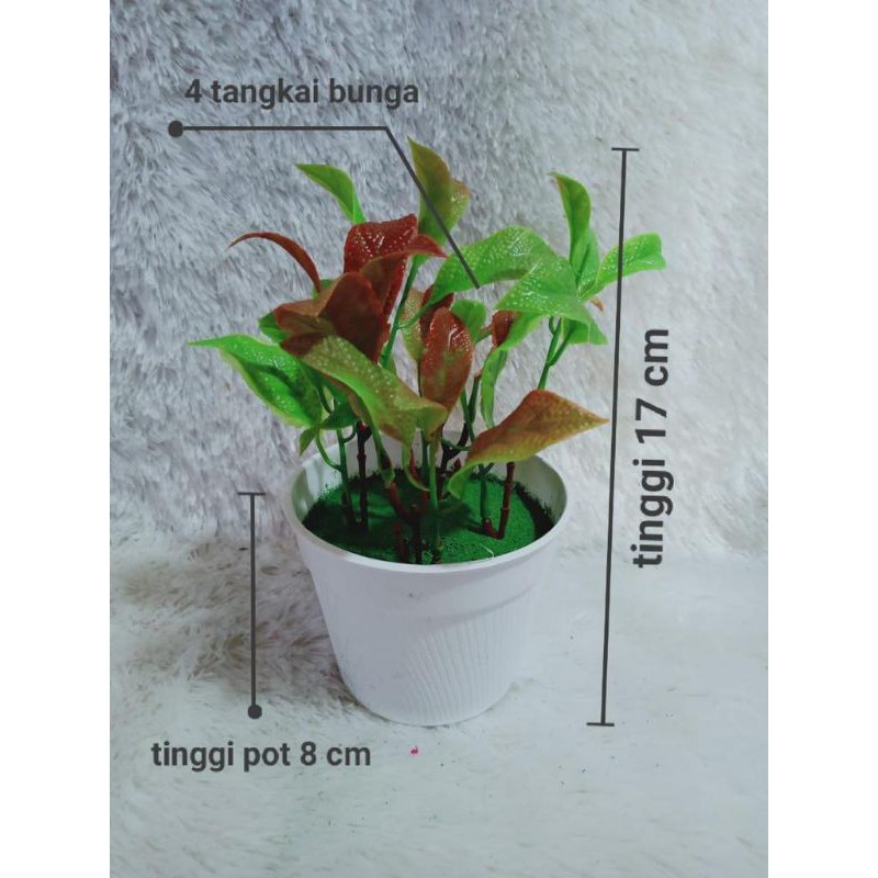 Detail Hiasan Daun Sirih Nomer 35