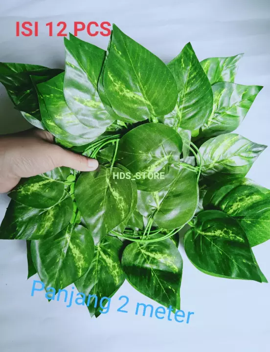 Detail Hiasan Daun Sirih Nomer 44
