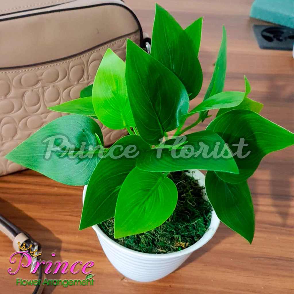 Detail Hiasan Daun Sirih Nomer 51