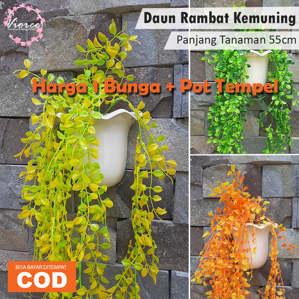 Detail Hiasan Dinding Daun Rambat Nomer 26