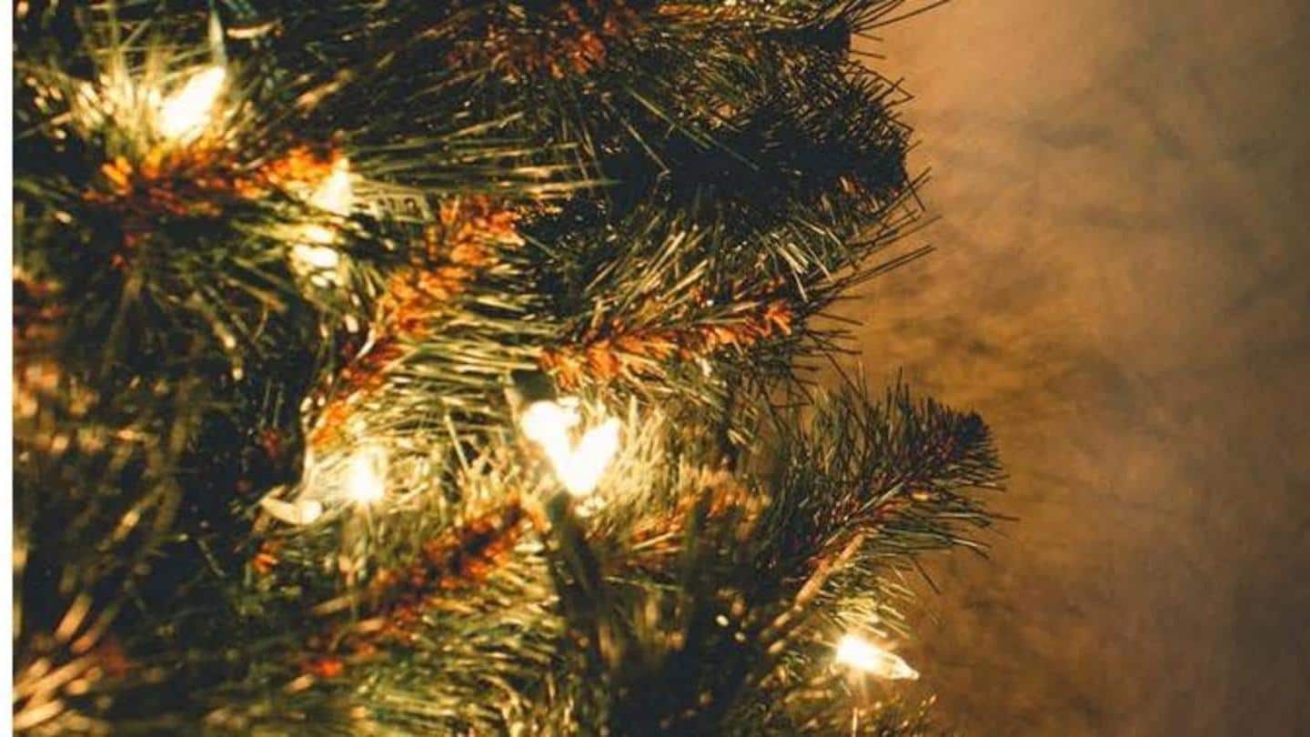 Detail Hiasan Pohon Natal Buatan Sendiri Nomer 24