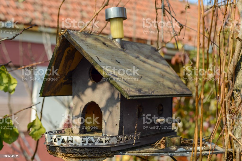 Detail Hiasan Rumah Burung Nomer 38