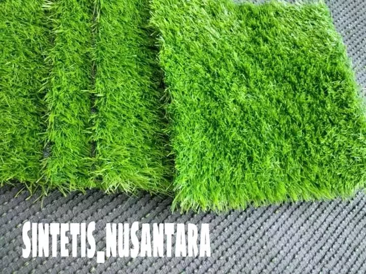 Detail Hiasan Rumput Sintetis Nomer 24