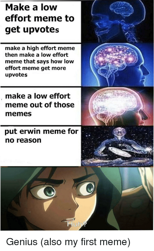 Detail High Effort Meme Nomer 49