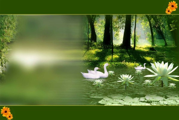 Detail High Resolution Background Studio Nomer 53