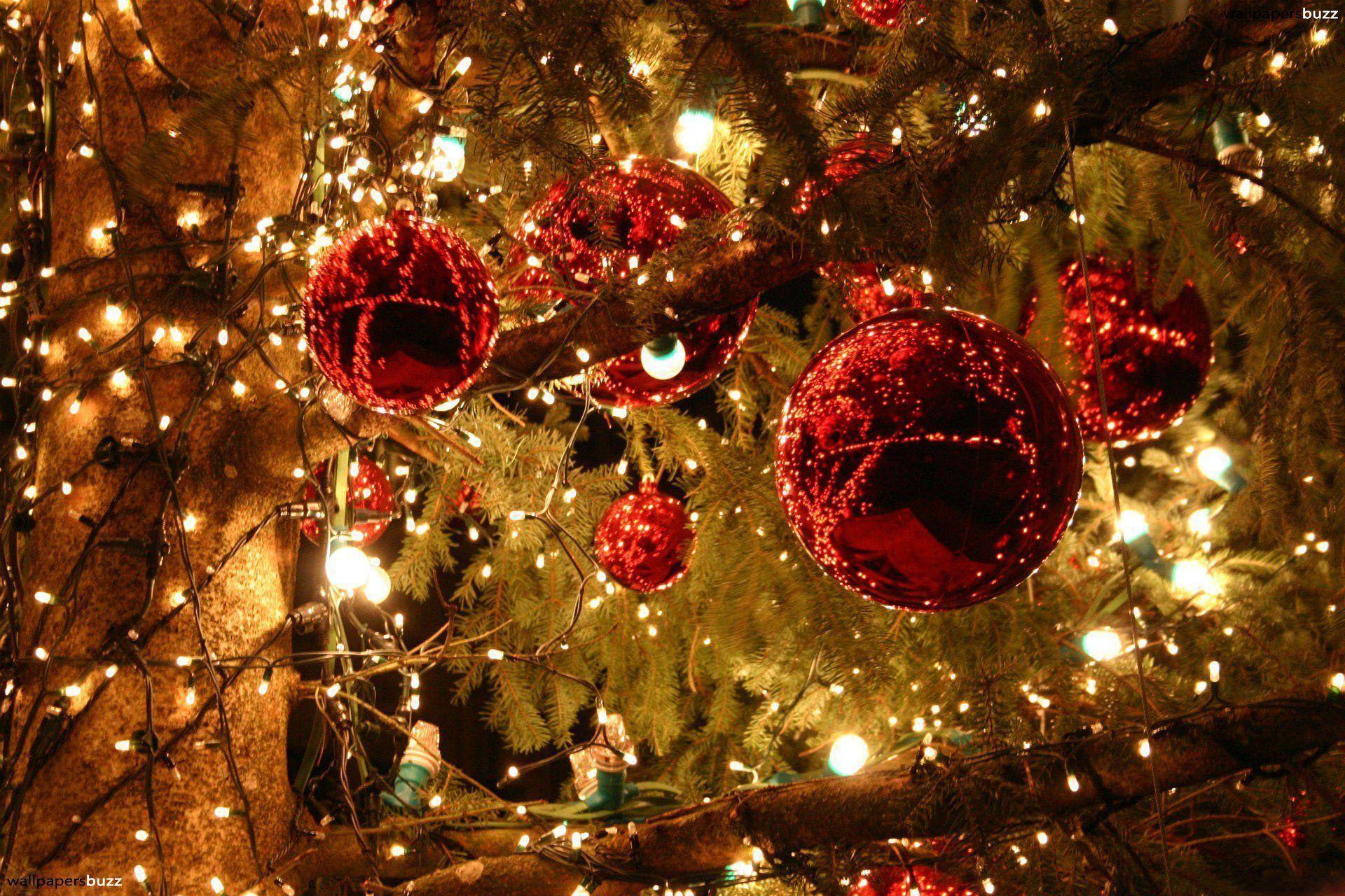 Detail High Resolution Christmas Background Nomer 15