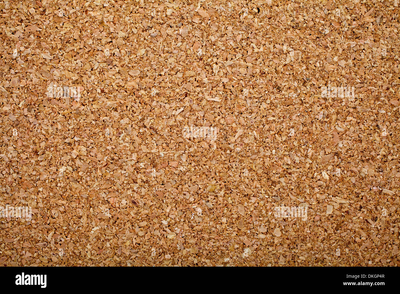 Detail High Resolution Cork Board Background Nomer 35