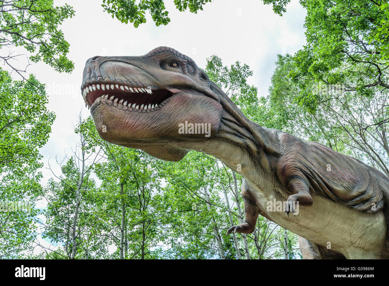 Detail High Resolution Dinosaur Images Nomer 29