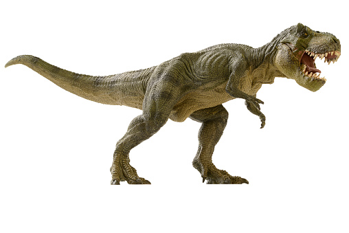 Detail High Resolution Dinosaur Images Nomer 10