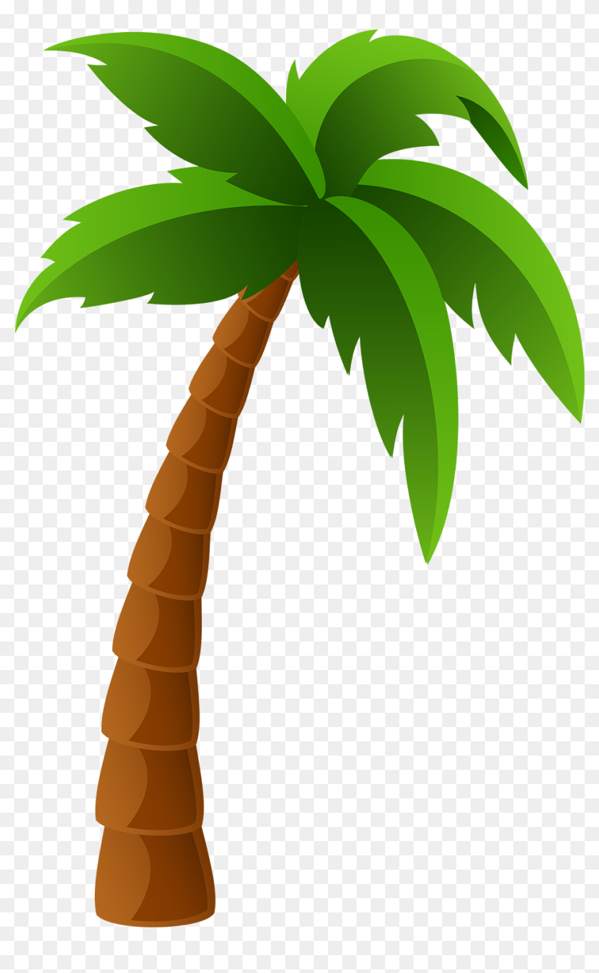 Detail High Resolution Palm Tree Images Nomer 35