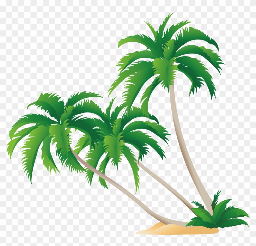 Detail High Resolution Palm Tree Images Nomer 52