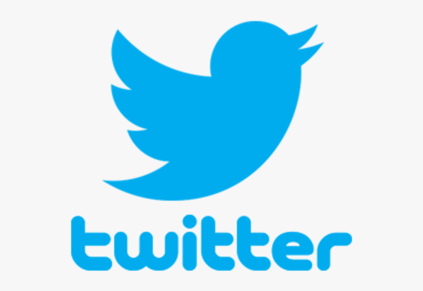 Detail High Resolution Twitter Logo Nomer 12