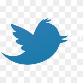 Detail High Resolution Twitter Logo Nomer 43