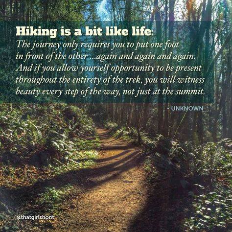 Detail Hiking Motivational Quotes Nomer 28