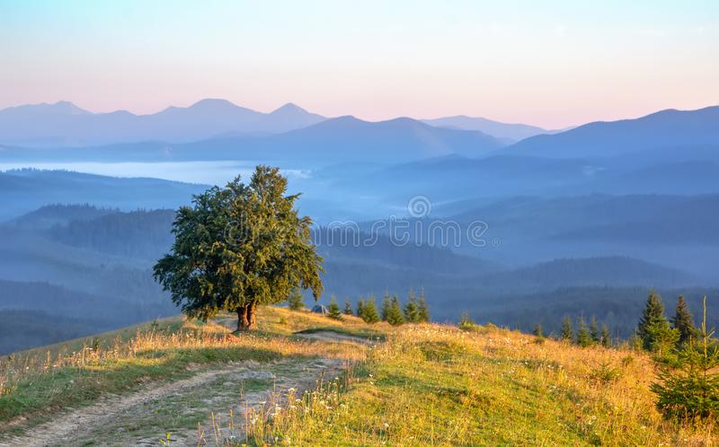 Detail Hill Background Nomer 28
