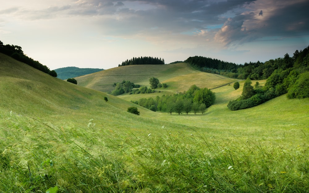 Detail Hill Background Nomer 5