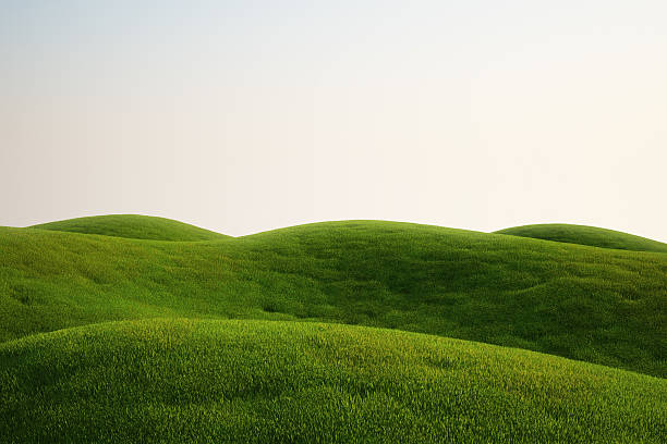 Detail Hill Background Nomer 8