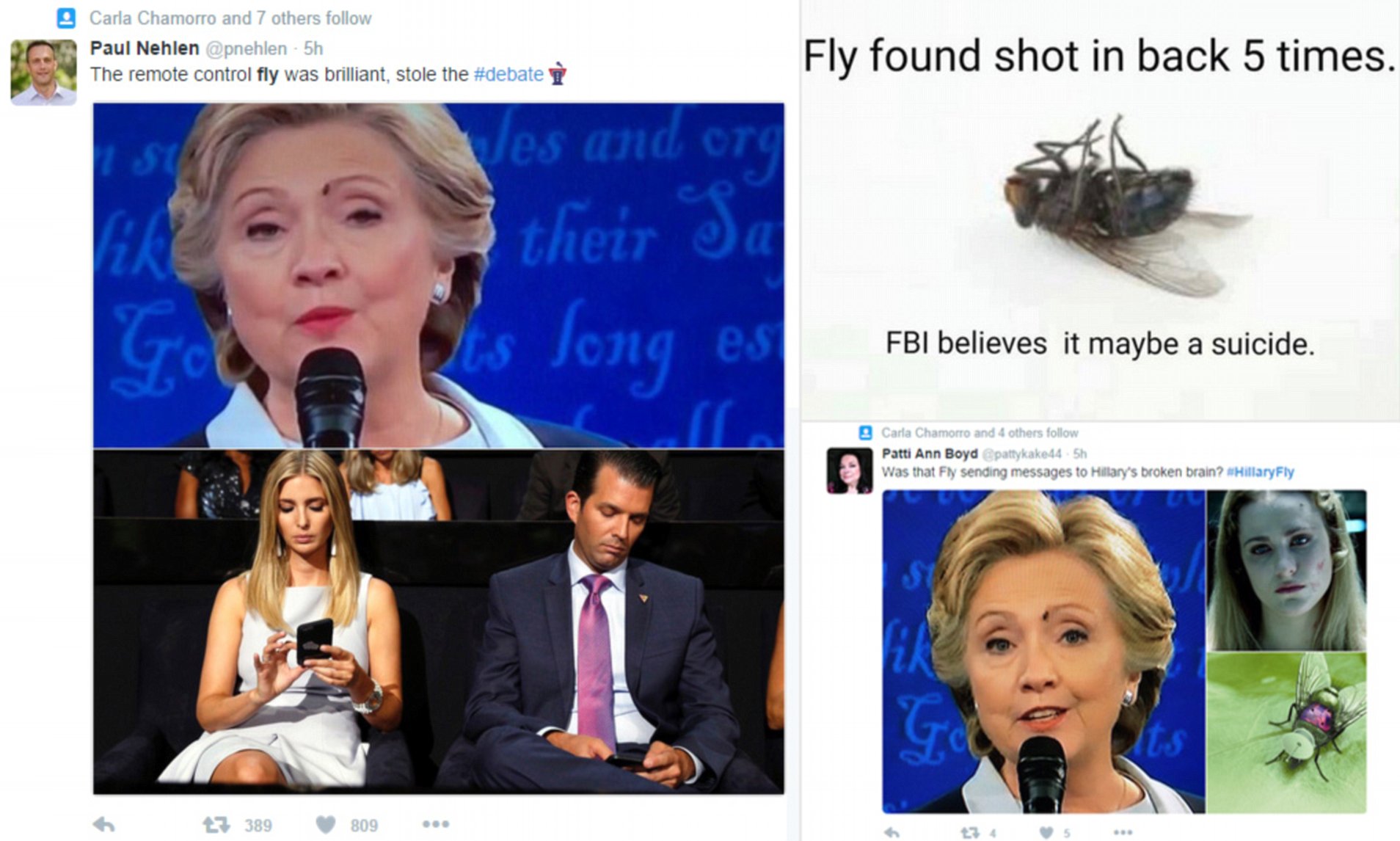 Detail Hillary Clinton Fly Meme Nomer 2