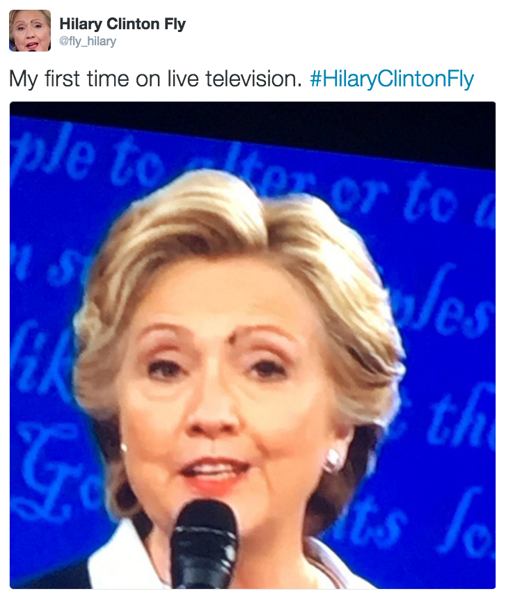 Detail Hillary Clinton Fly Meme Nomer 11