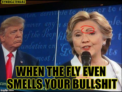 Detail Hillary Clinton Fly Meme Nomer 13