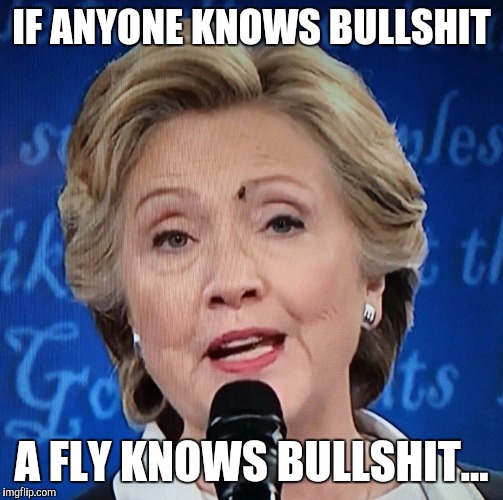 Detail Hillary Clinton Fly Meme Nomer 4