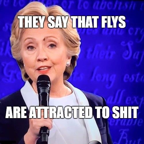 Detail Hillary Clinton Fly Memes Nomer 3