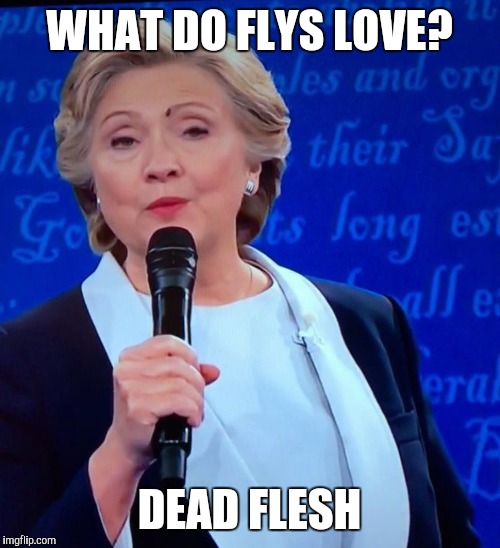 Detail Hillary Clinton Fly Memes Nomer 22