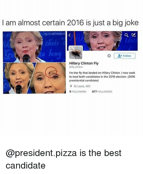 Detail Hillary Clinton Fly Memes Nomer 31