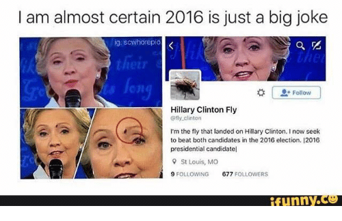 Detail Hillary Clinton Fly Memes Nomer 46