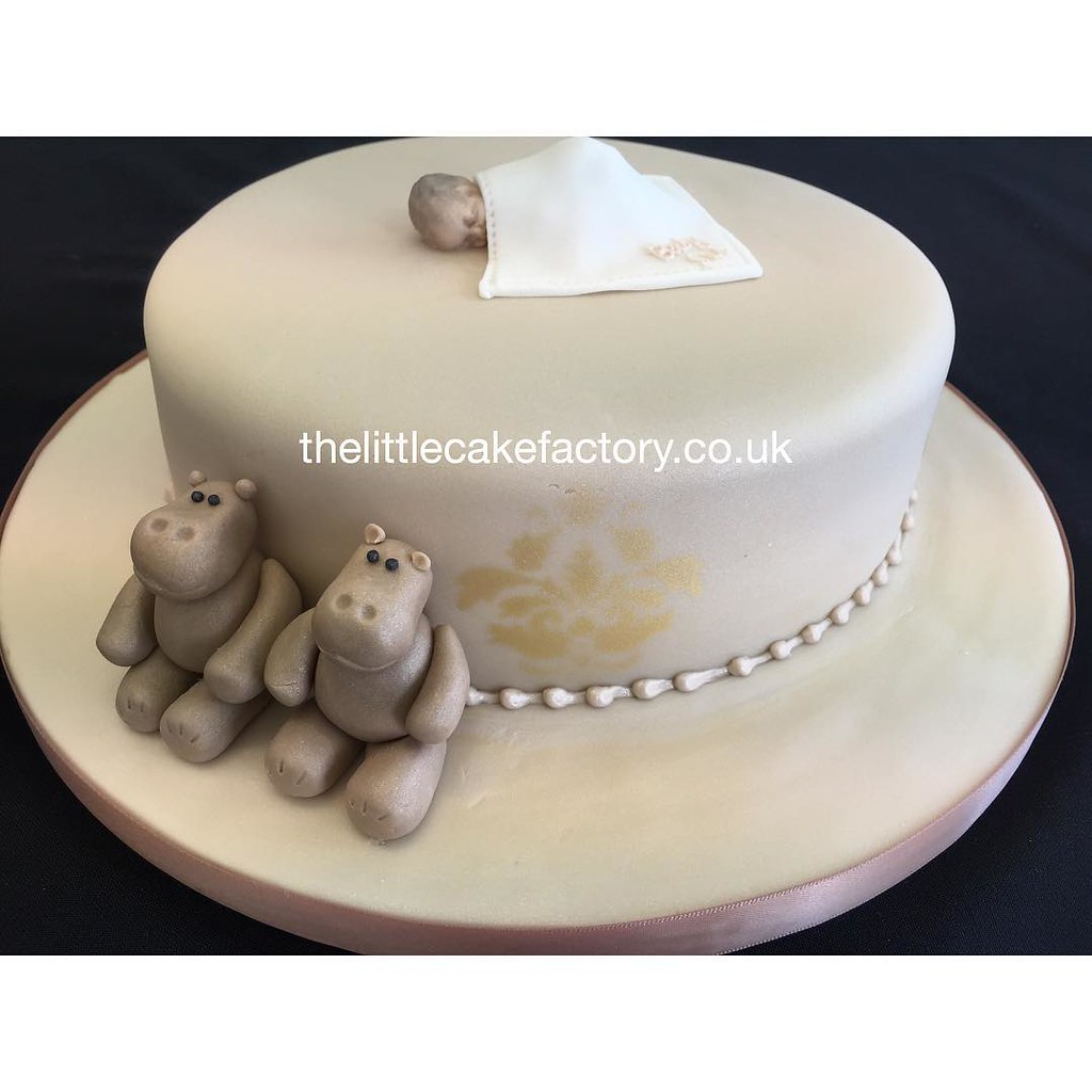 Detail Hippo Baby Shower Cake Nomer 27