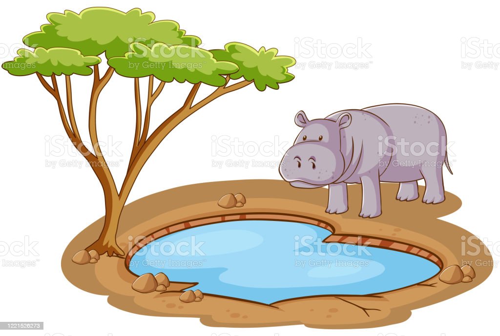 Detail Hippo Background Nomer 47